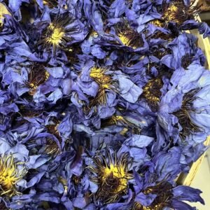 New Product Sun-dried Egyptian Water Lily Herbal Tea